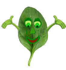 Mr. Spinach